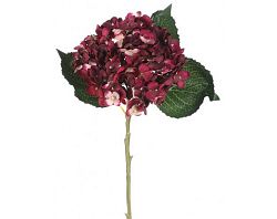 Umelá kvetina Hortenzia 50 cm, bordó%